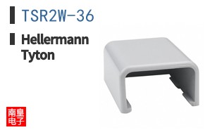 TSR2W-36
