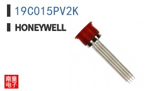 19C015PV2K