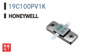 19C100PV1K