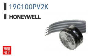 19C100PV2K