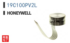 19C100PV2L