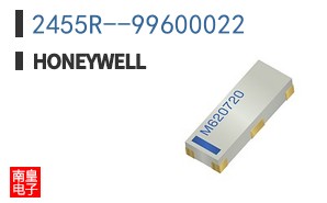 2455R--99600022