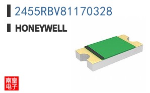 2455RBV81170328