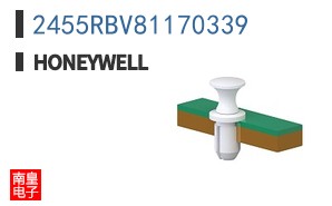 2455RBV81170339