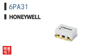 6PA31