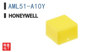 AML51-A10Y