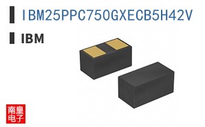IBM25PPC750GXECB5H42V