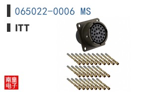 065022-0006 MS