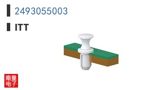 2493055003