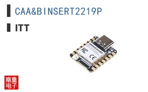 CAA&BINSERT2219P