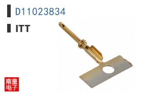 D11023834