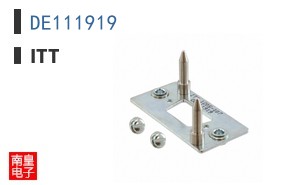 DE111919