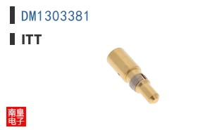 DM1303381