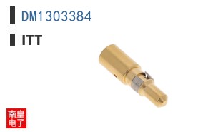 DM1303384