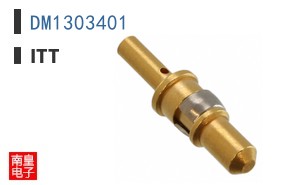 DM1303401