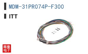 MDM-31PR074P-F300