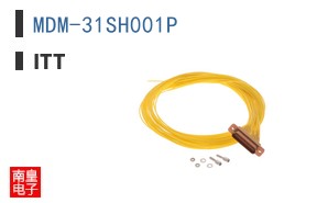 MDM-31SH001P