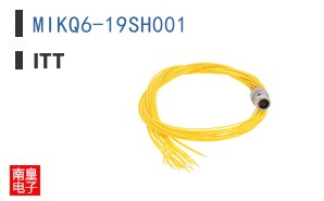 MIKQ6-19SH001