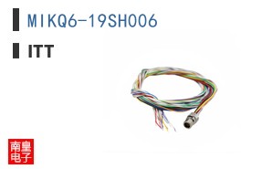 MIKQ6-19SH006