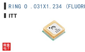RING O .031X1.234 (FLUORO)