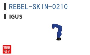REBEL-SKIN-0210