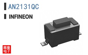 AN2131QC