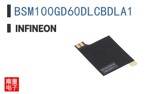 BSM100GD60DLCBDLA1