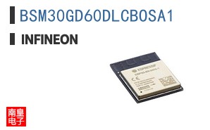 BSM30GD60DLCBOSA1