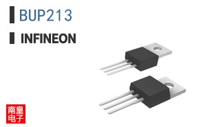 BUP213