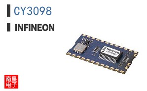 CY3098