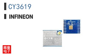 CY3619