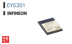CY5301