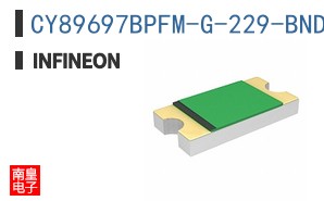 CY89697BPFM-G-229-BNDE1