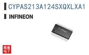CYPAS213A124SXQXLXA1