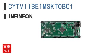 CYTVIIBE1MSKTOBO1