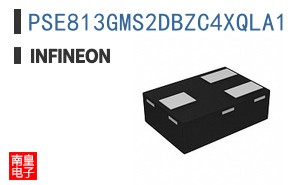 PSE813GMS2DBZC4XQLA1