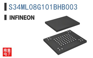 S34ML08G101BHB003