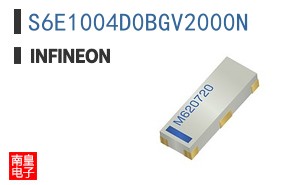 S6E1004D0BGV2000N