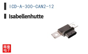 ICD-A-300-CAN2-12