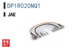 DP1R020NQ1