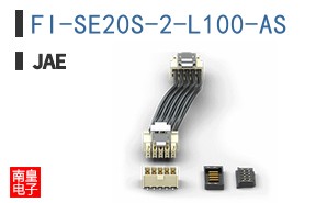 FI-SE20S-2-L100-AS