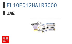 FL10F012HA1R3000