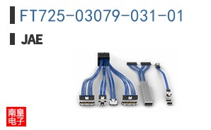 FT725-03079-031-01
