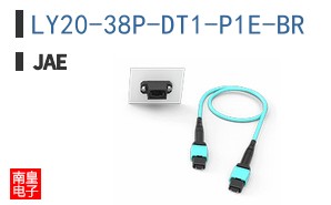 LY20-38P-DT1-P1E-BR