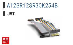 A12SR12SR30K254B