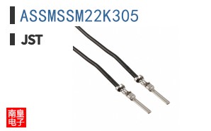 ASSMSSM22K305