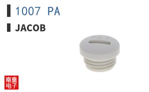 1007 PA