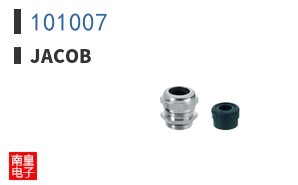 101007