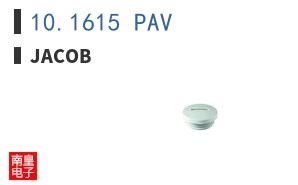 10.1615 PAV