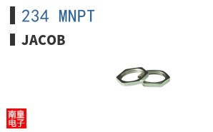 234 MNPT